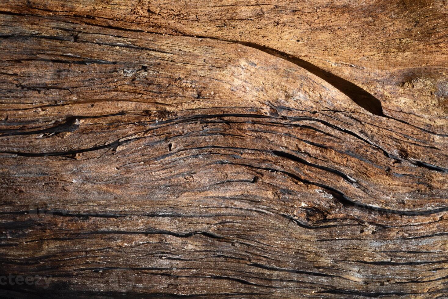 Wooden Surface Texture Close-Up photo