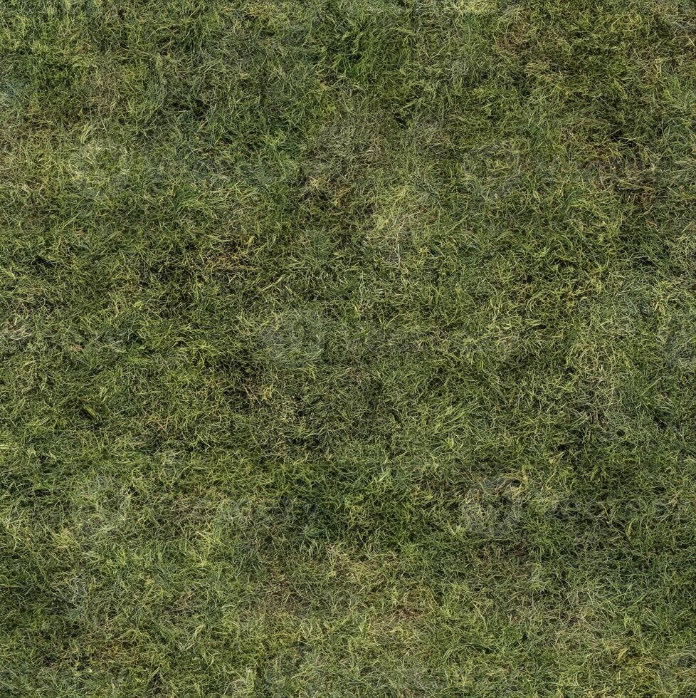 High-Quality Seamless Grass Texture Map for Versatile Material Creation and Commercial Applications photo