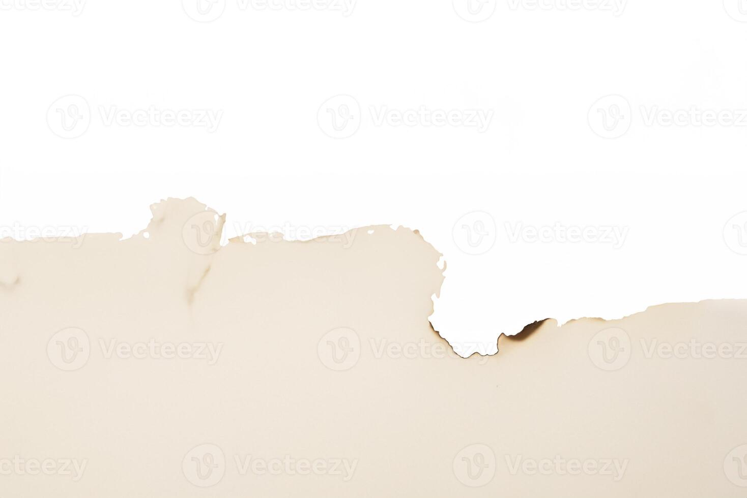 Close-up of Torn Paper with Burned Edge Texture photo