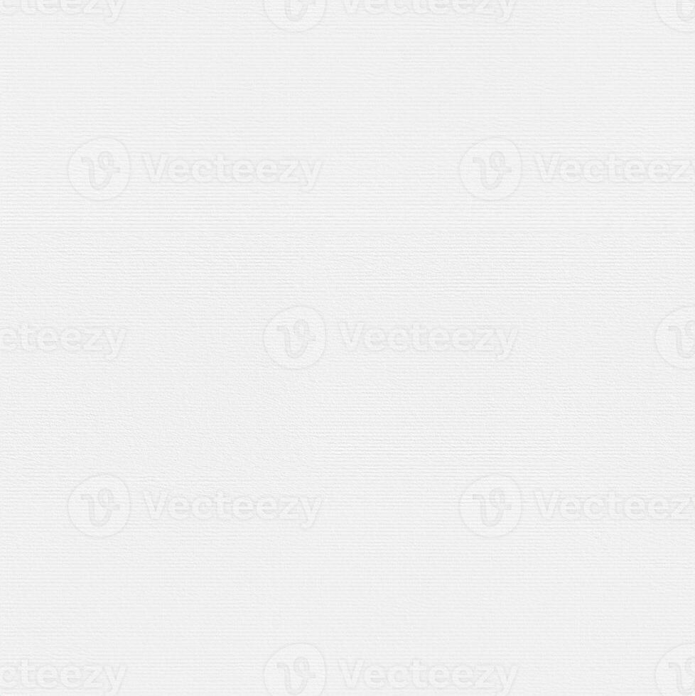 Close-up of Textured White Nettuno Paper photo