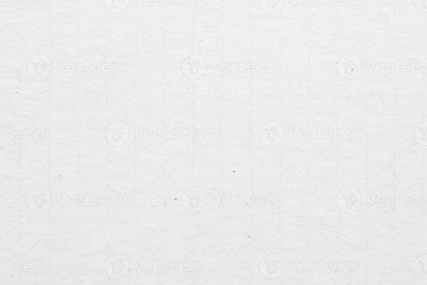 Recycled White Cardboard Surface Texture Background photo