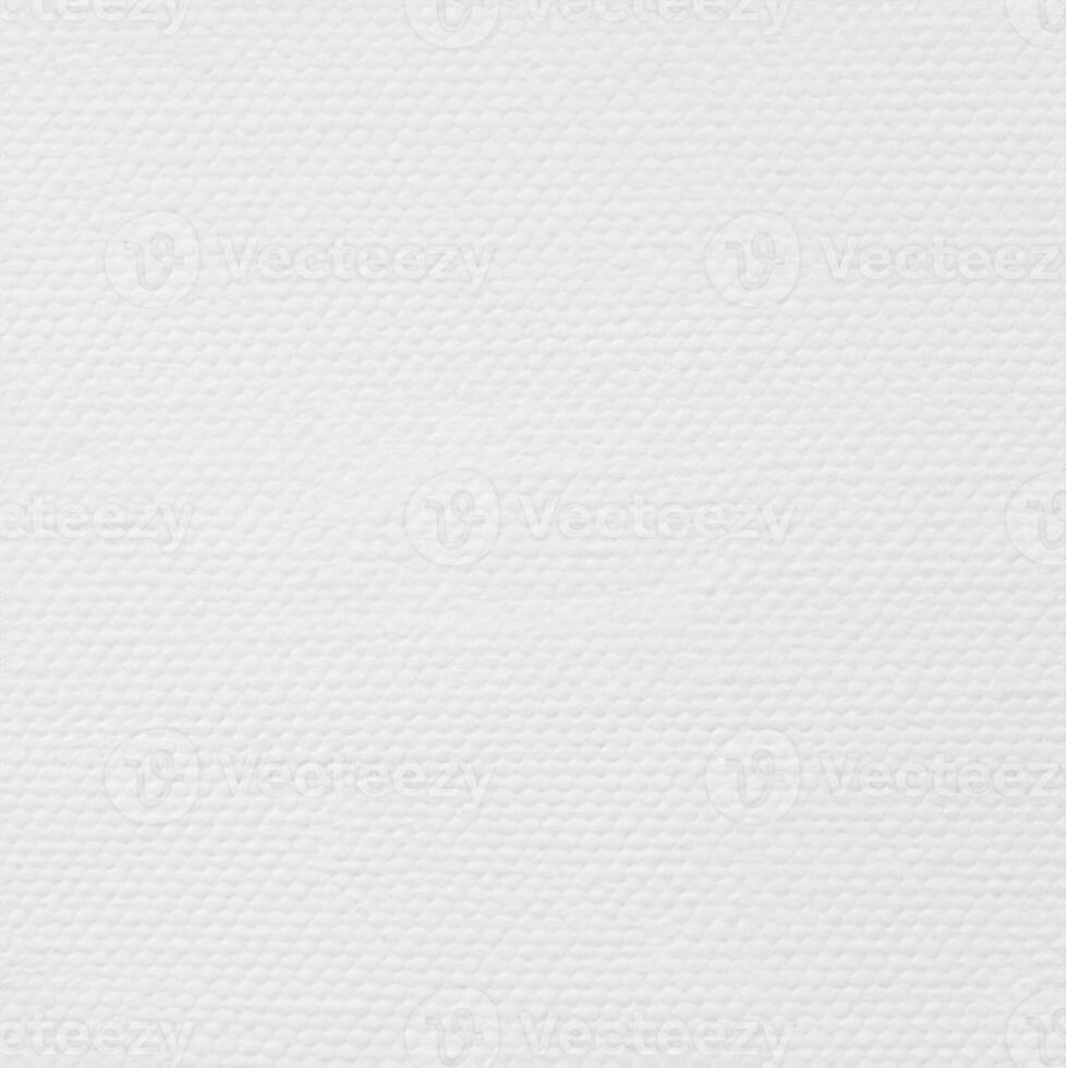 High-Quality White Canvas Texture Background for Design Projects photo