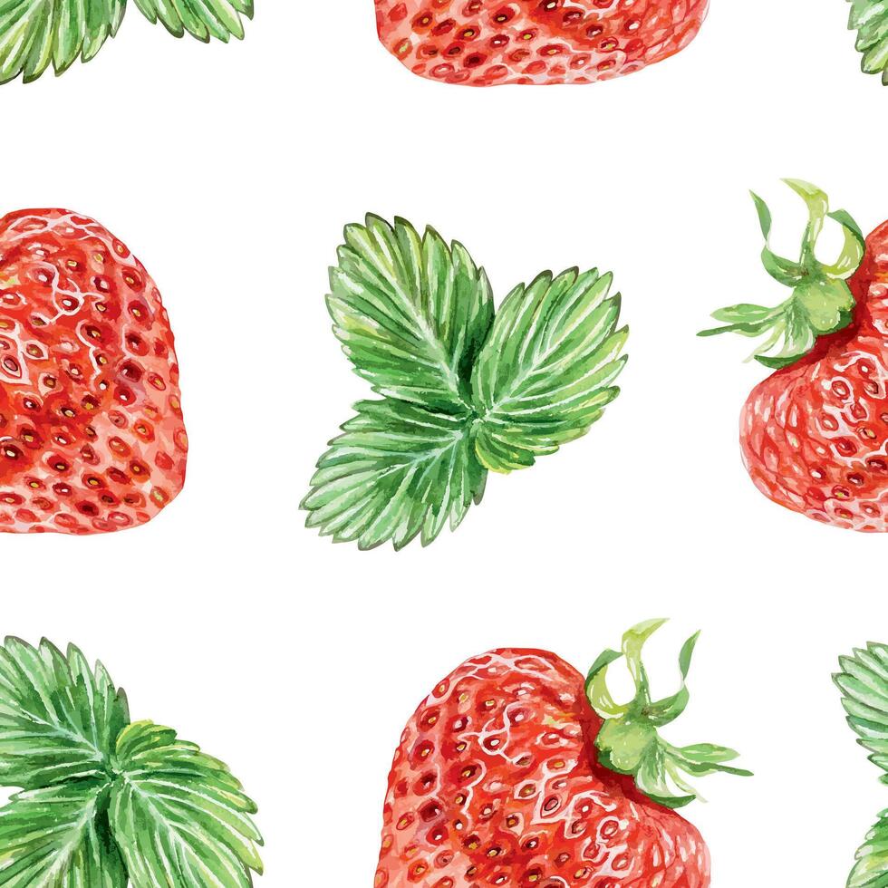 Strawberry seamless pattern, watercolor. Green leaves and berries. Illustration. For packaging paper, wallpaper, textiles, fabric, covers, tea labels, jam, cosmetics. vector