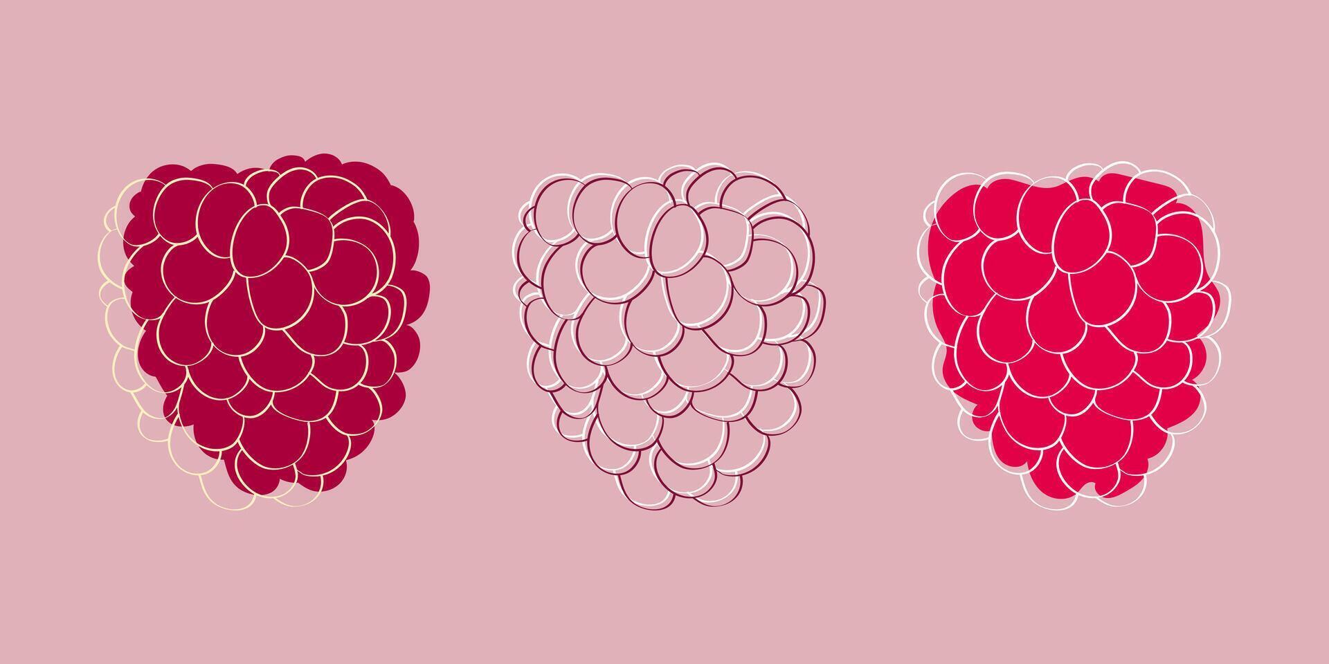 A digital illustration of three raspberries in various stages of ripeness on a light pink background. vector
