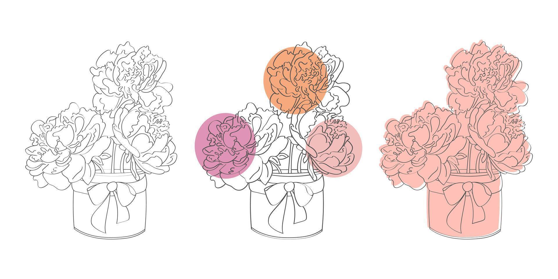 A simple line drawing of three variations of a set of peonies in a jar with a bow. vector