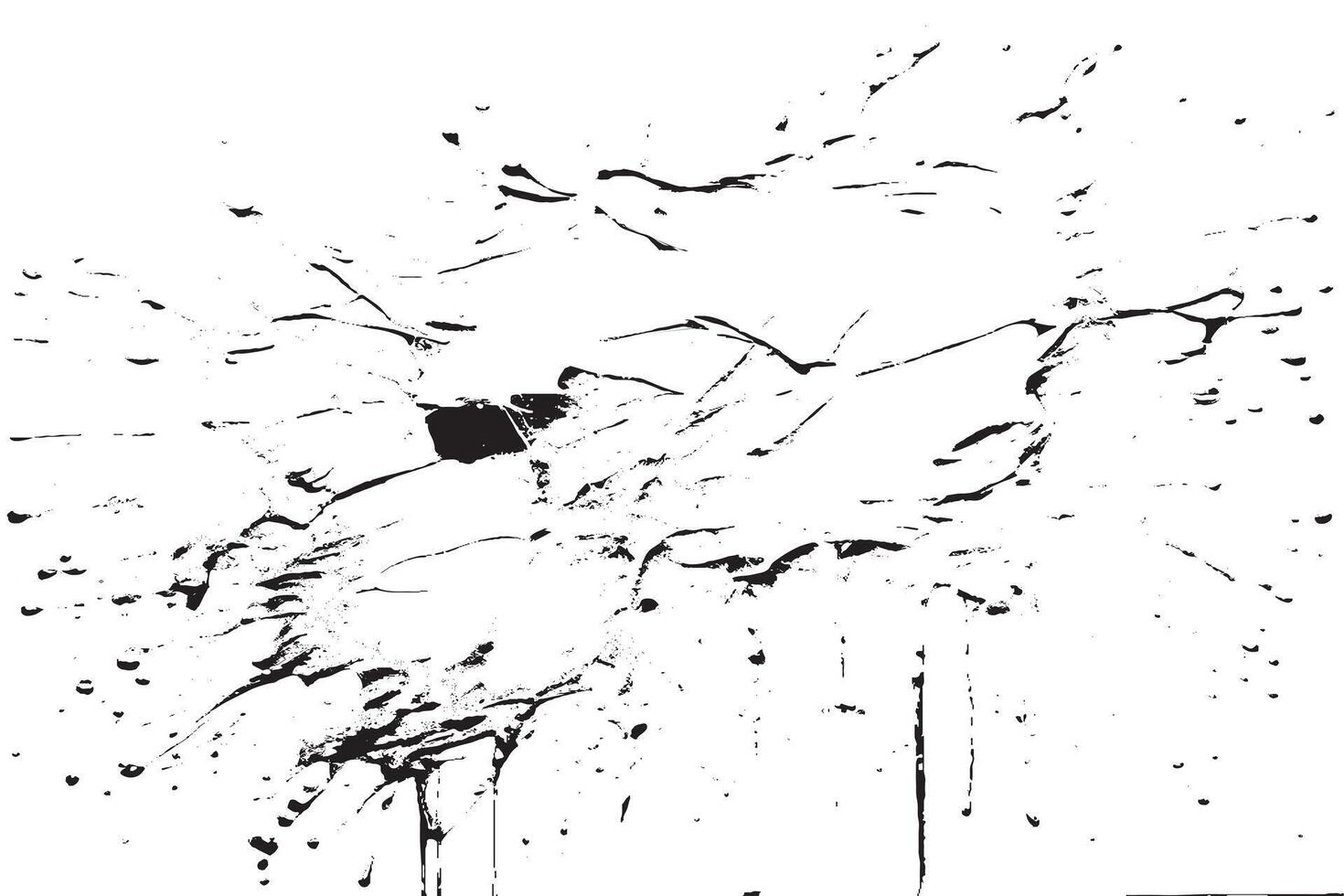 black ink splashes stains on white canvas vector