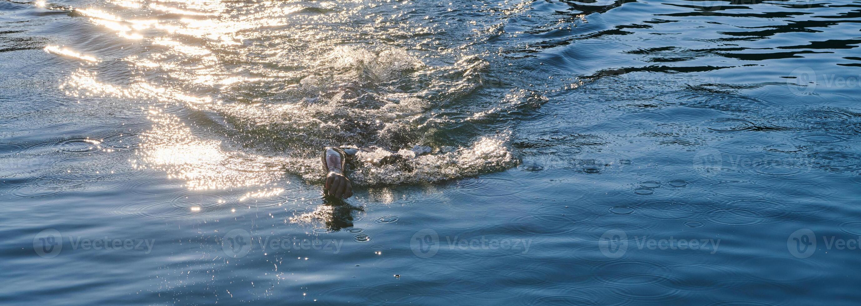 Triathlon athlete swimming on lake in sunrise wearing wetsuit photo