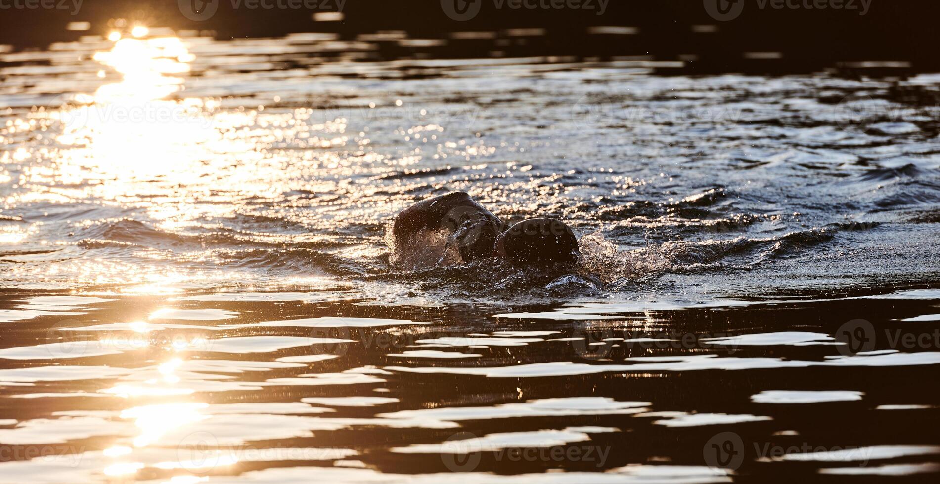 Triathlon athlete swimming on lake in sunrise wearing wetsuit photo