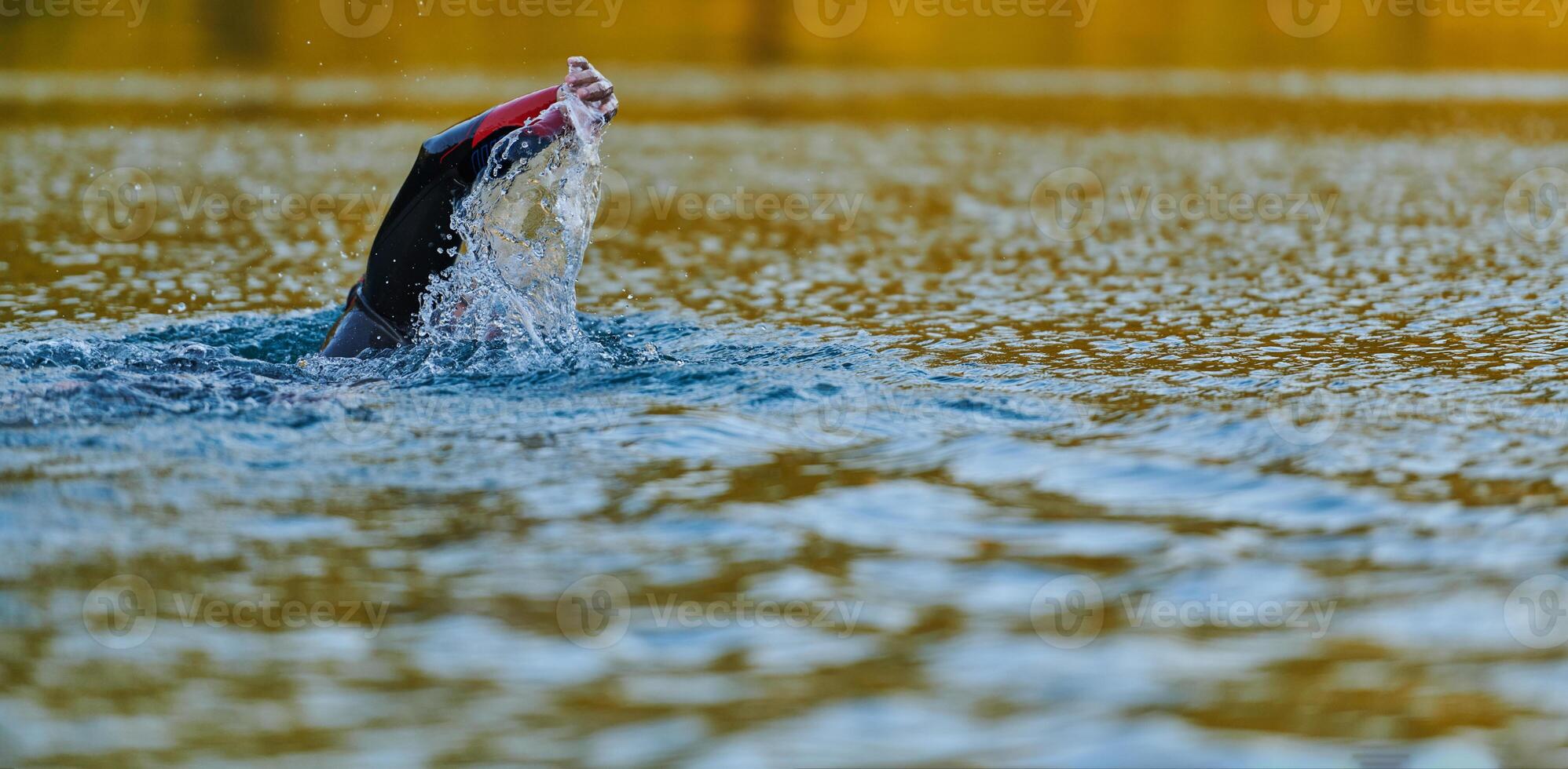 Triathlon athlete swimming on lake in sunrise wearing wetsuit photo