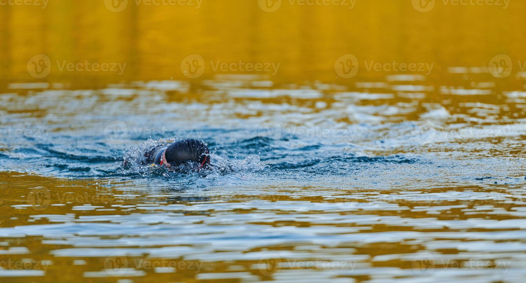 Triathlon athlete swimming on lake in sunrise wearing wetsuit photo