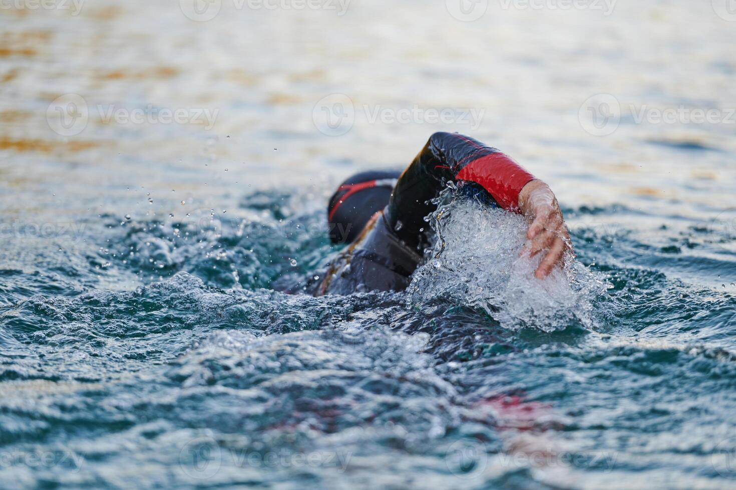 Triathlon athlete swimming on lake in sunrise wearing wetsuit photo