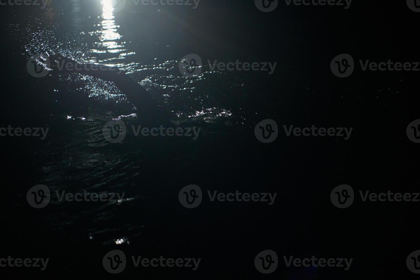 A determined professional triathlete undergoes rigorous night time training in cold waters, showcasing dedication and resilience in preparation for an upcoming triathlon swim competition photo