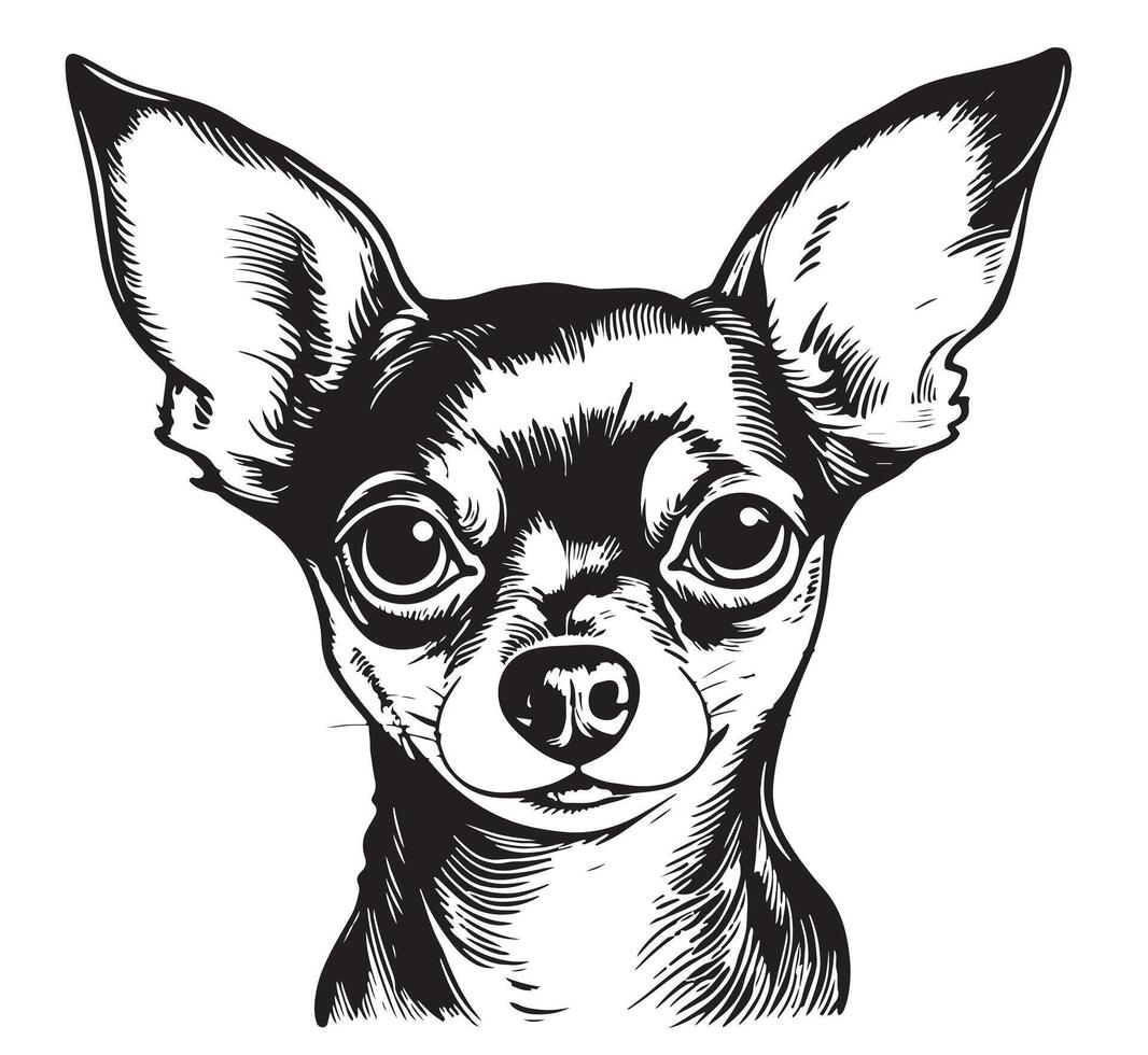 one single sitting Chihuahua Toy terrier dog head front view black and white two colors silhouette. vector
