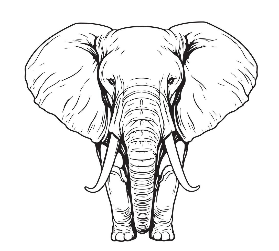 Elephant walking sketch vector