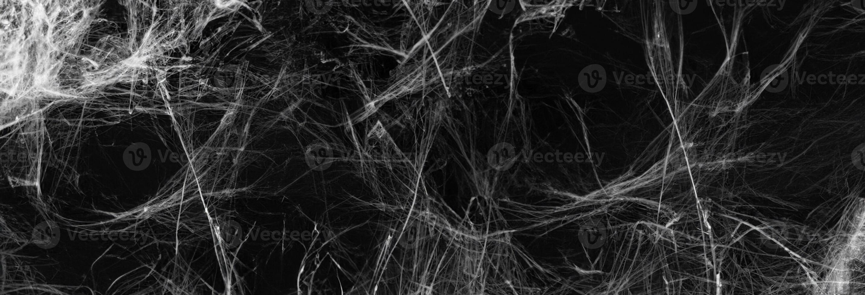 Spider Web Halloween Decor on Black Background photo