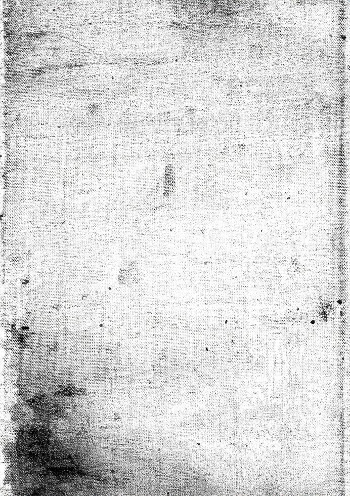 Monochrome Aged Book Page Texture Overlay photo