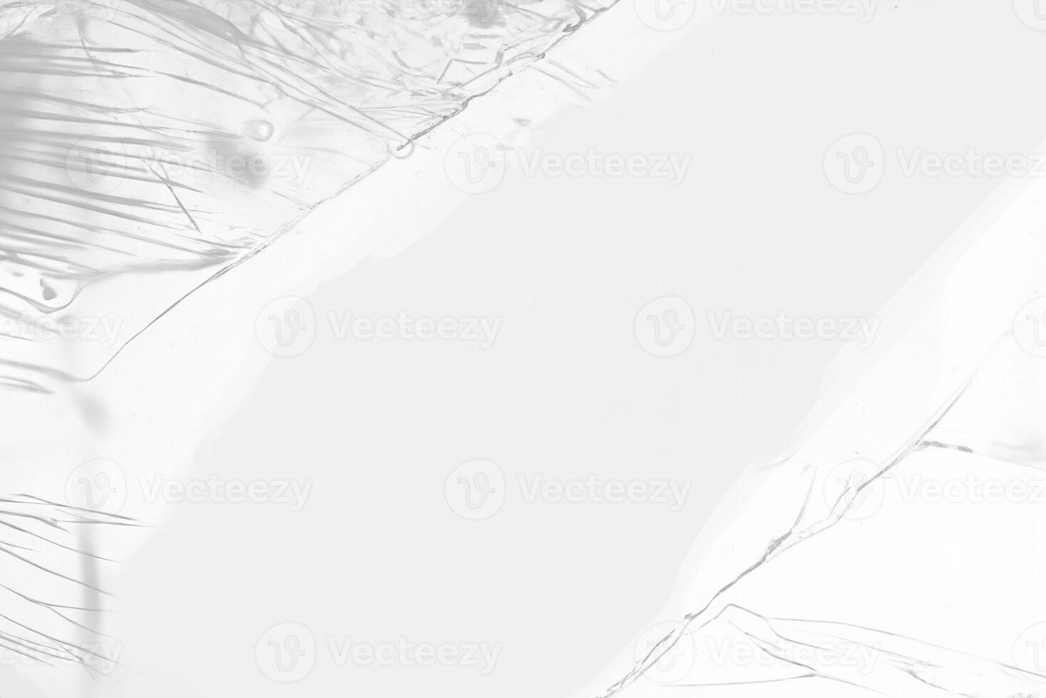 Transparent Plastic Wrap Border with Ample Copy Space Overlay - Professional Stock Photo