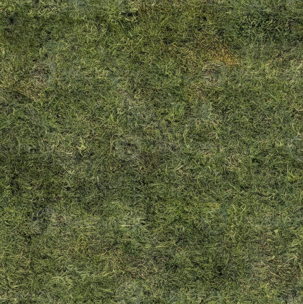 High-Quality Seamless Grass Texture Map for Versatile Material Creation and Commercial Applications photo