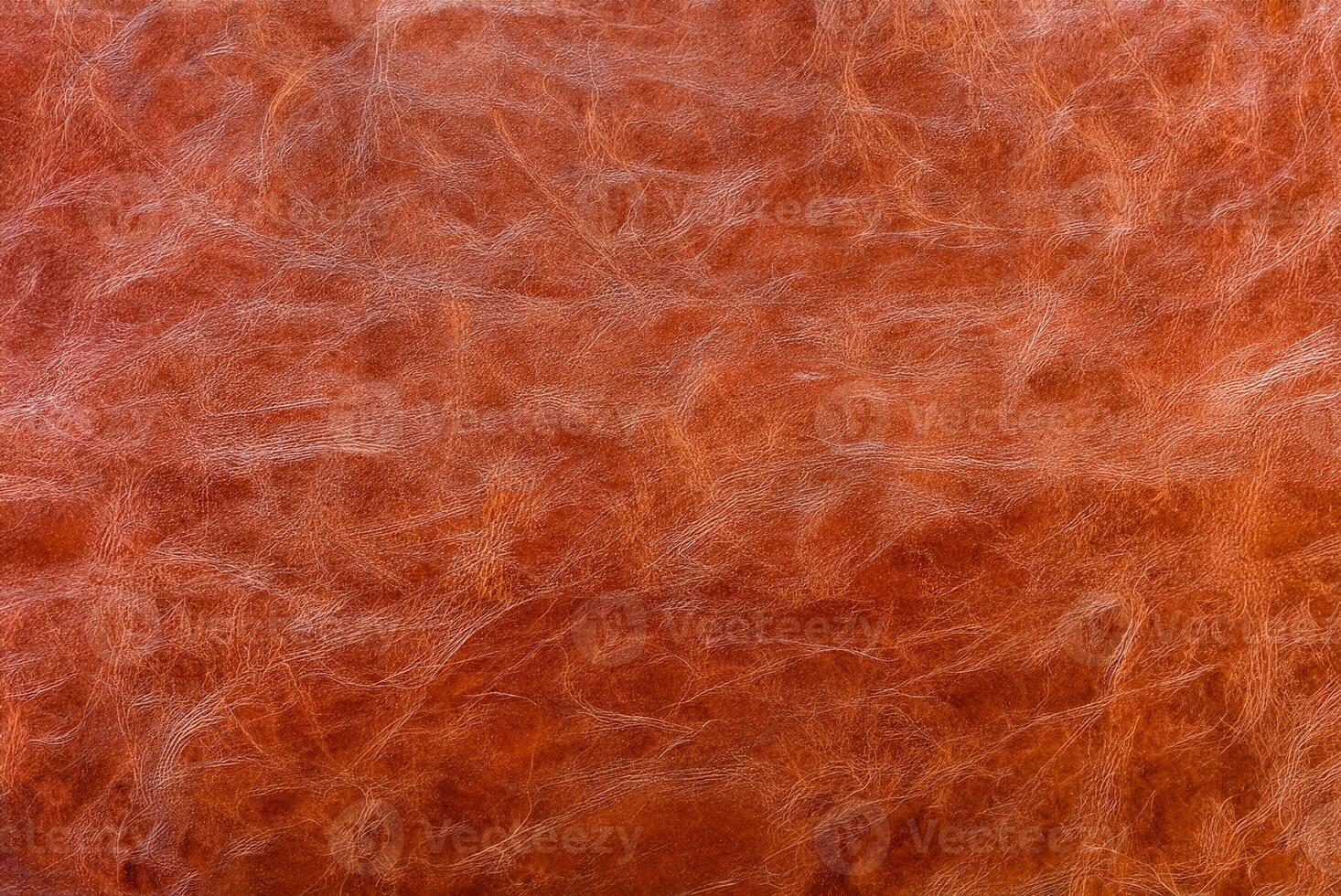 Textured Leather Background. photo