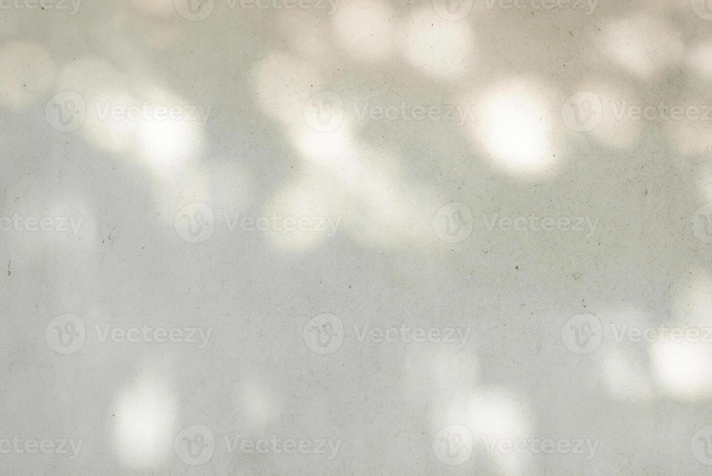 Concrete Wall with Palm Leaf Shadow Texture, Abstract Background photo