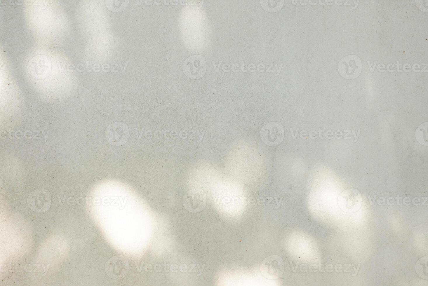 Concrete Wall with Palm Leaf Shadow Texture, Abstract Background photo