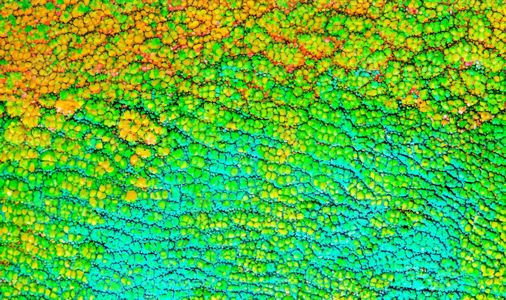 Vibrant Close-up of Multicolored Chameleon Skin Pattern Texture - Reptile Background photo