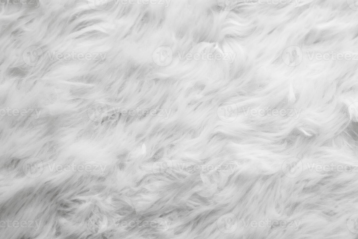 High-Resolution Stock Photo, Close-Up of Fluffy Sheep Wool Texture for Background or Wallpaper photo