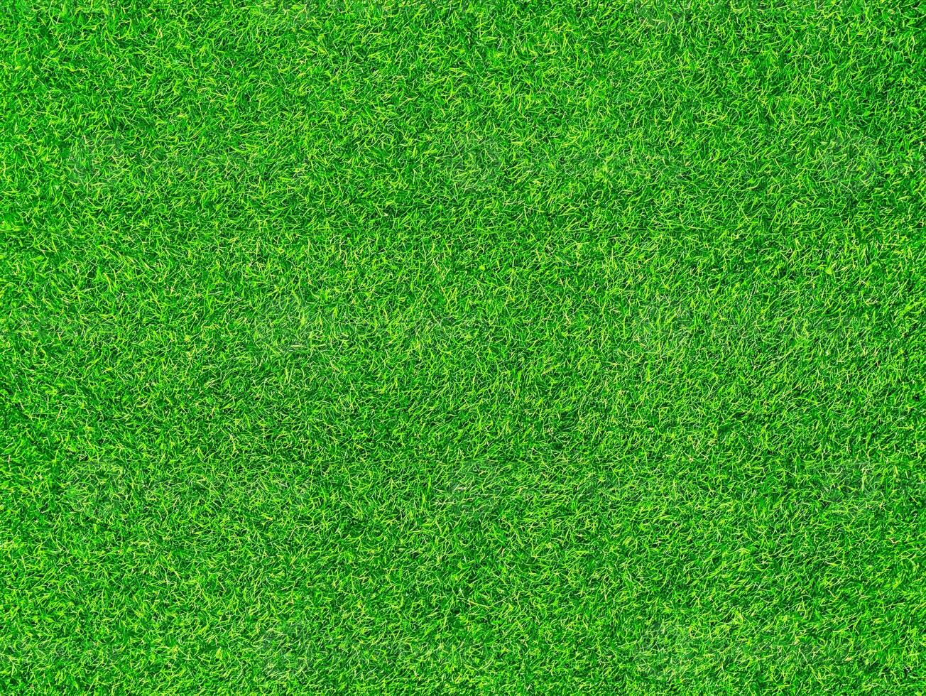 High-Quality Green Grass Texture Background Ideal for Sports Fields and Landscaping Projects photo