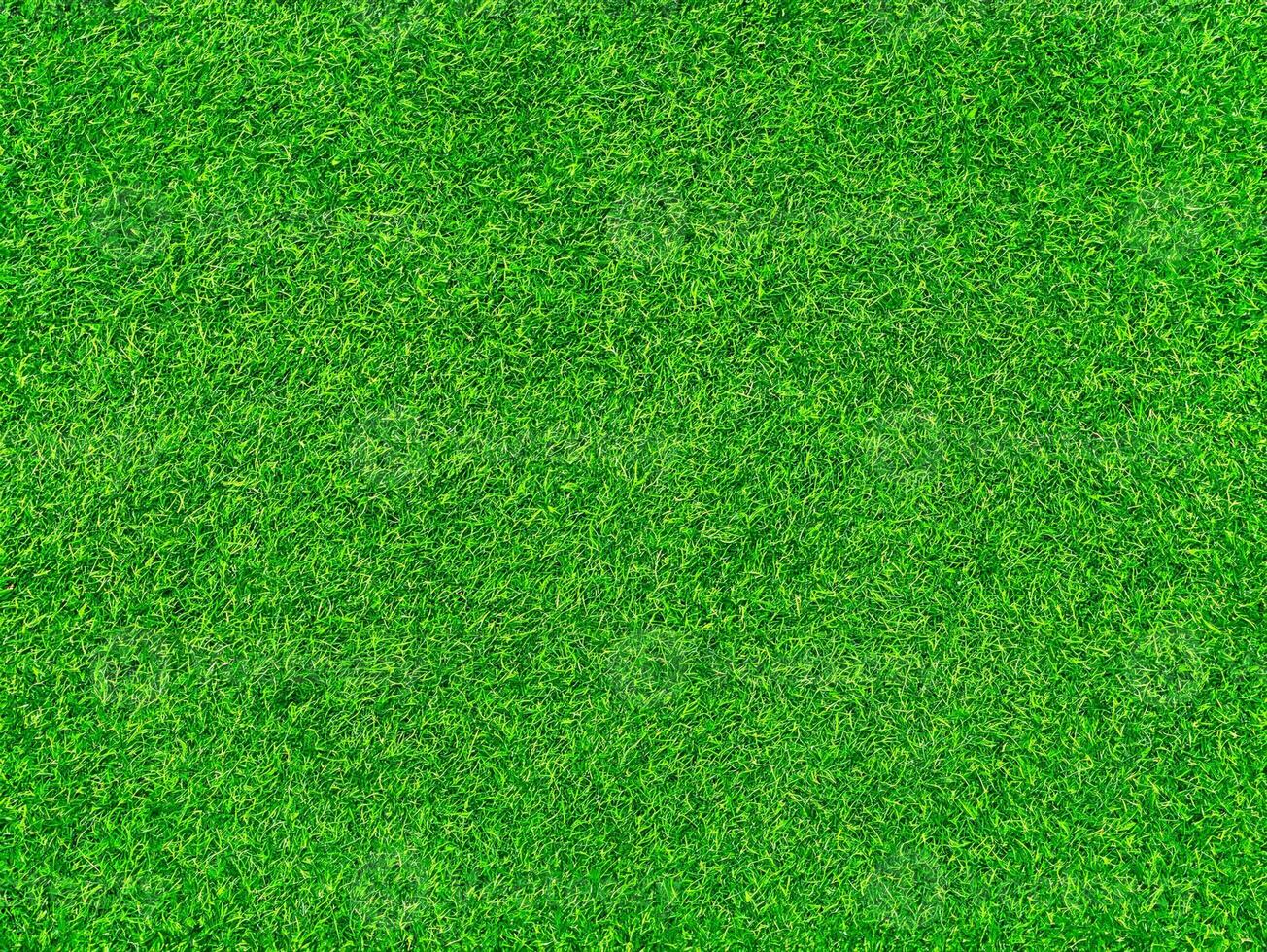 High-Quality Green Grass Texture Background Ideal for Sports Fields and Landscaping Projects photo