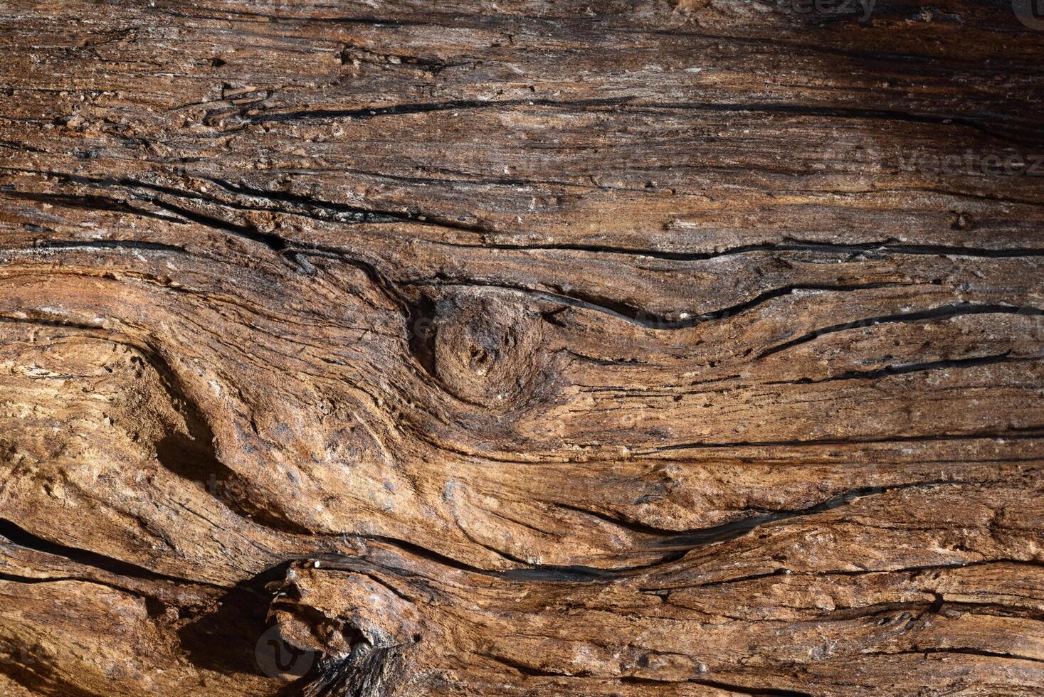 Close-Up Shot of Wooden Surface Texture photo