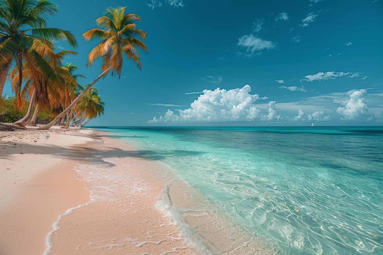 Tropical Beach With Palm Trees and Clear Water photo