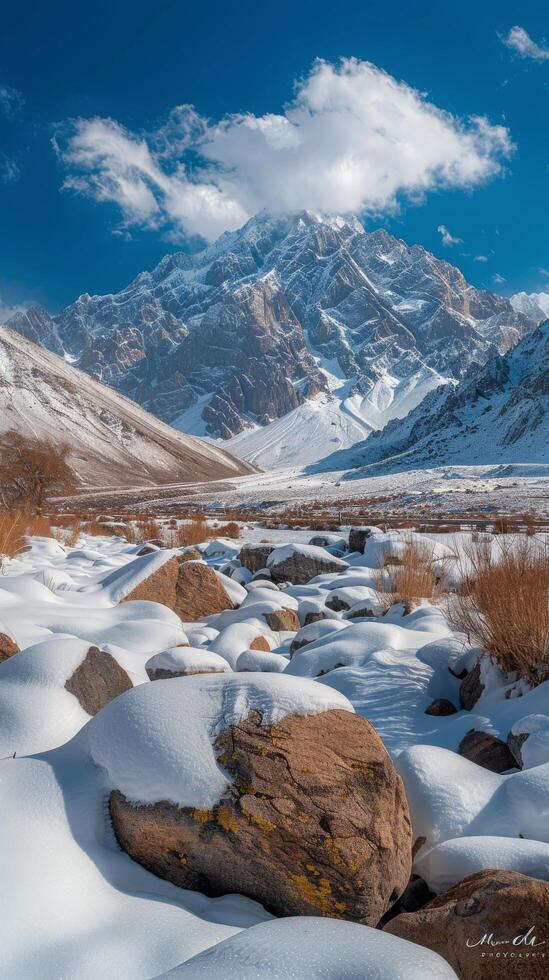 Snow Covered Mountain With Trees and Grass photo