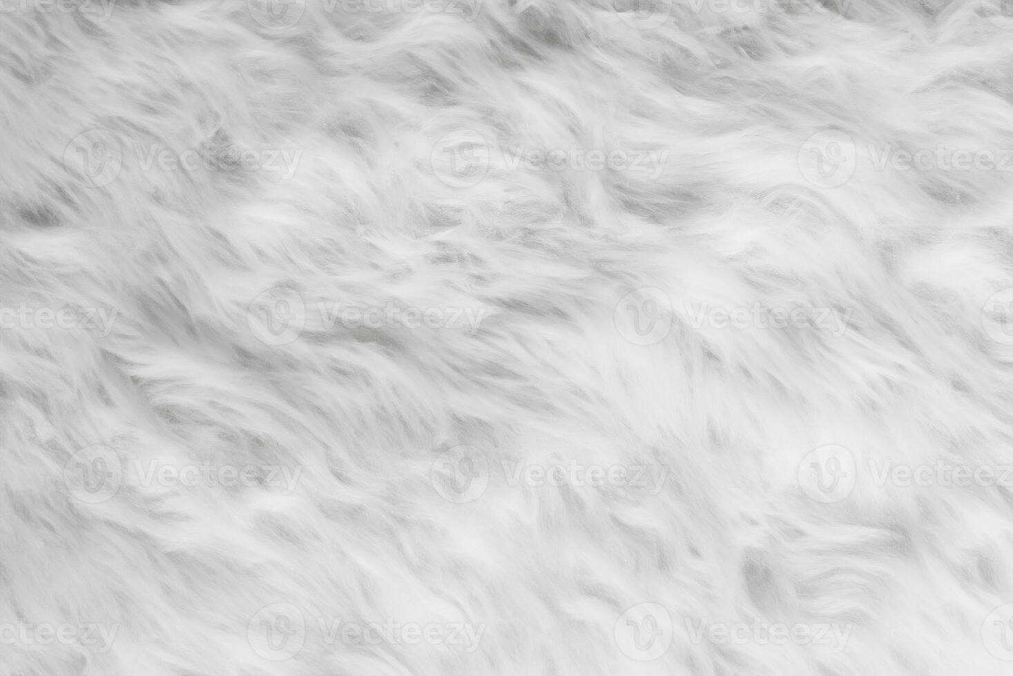 High-Resolution Stock Photo, Close-Up of Fluffy Sheep Wool Texture for Background or Wallpaper photo
