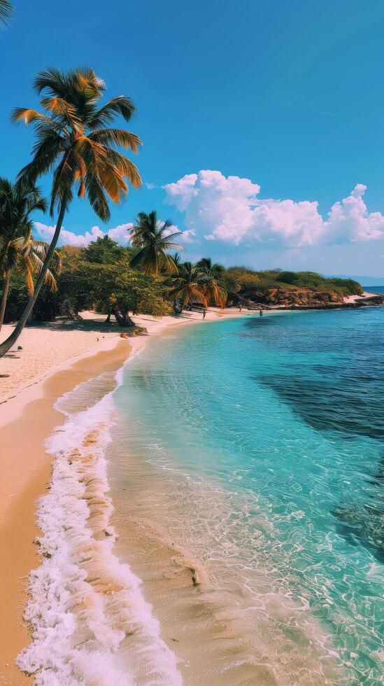 Sandy Beach With Palm Trees and Clear Blue Water photo
