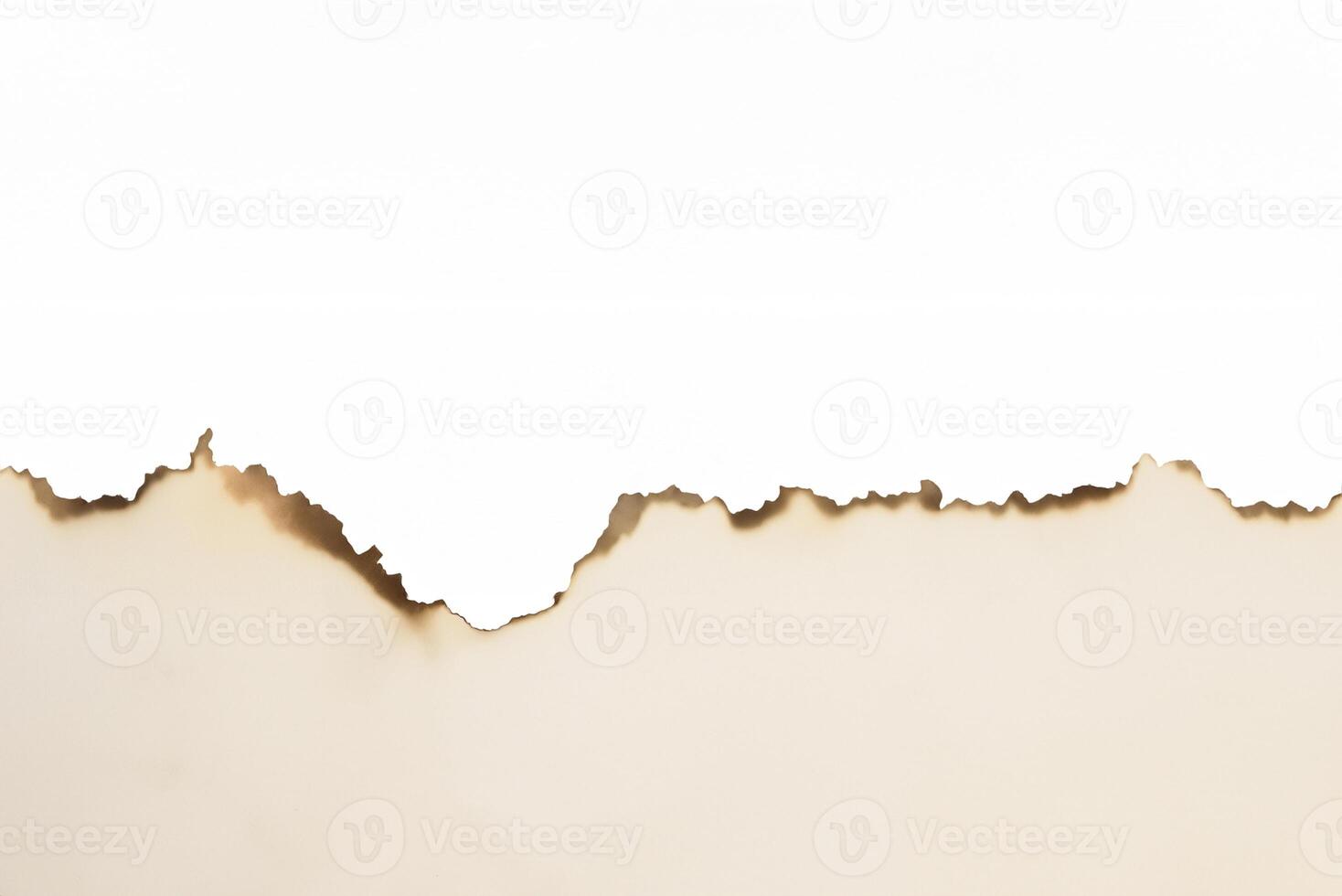 Close-up of Torn Paper with Burned Edge Texture photo