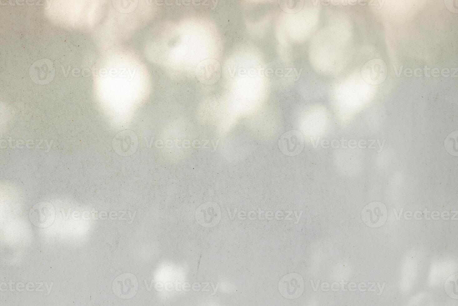 Concrete Wall with Palm Leaf Shadow Texture, Abstract Background photo