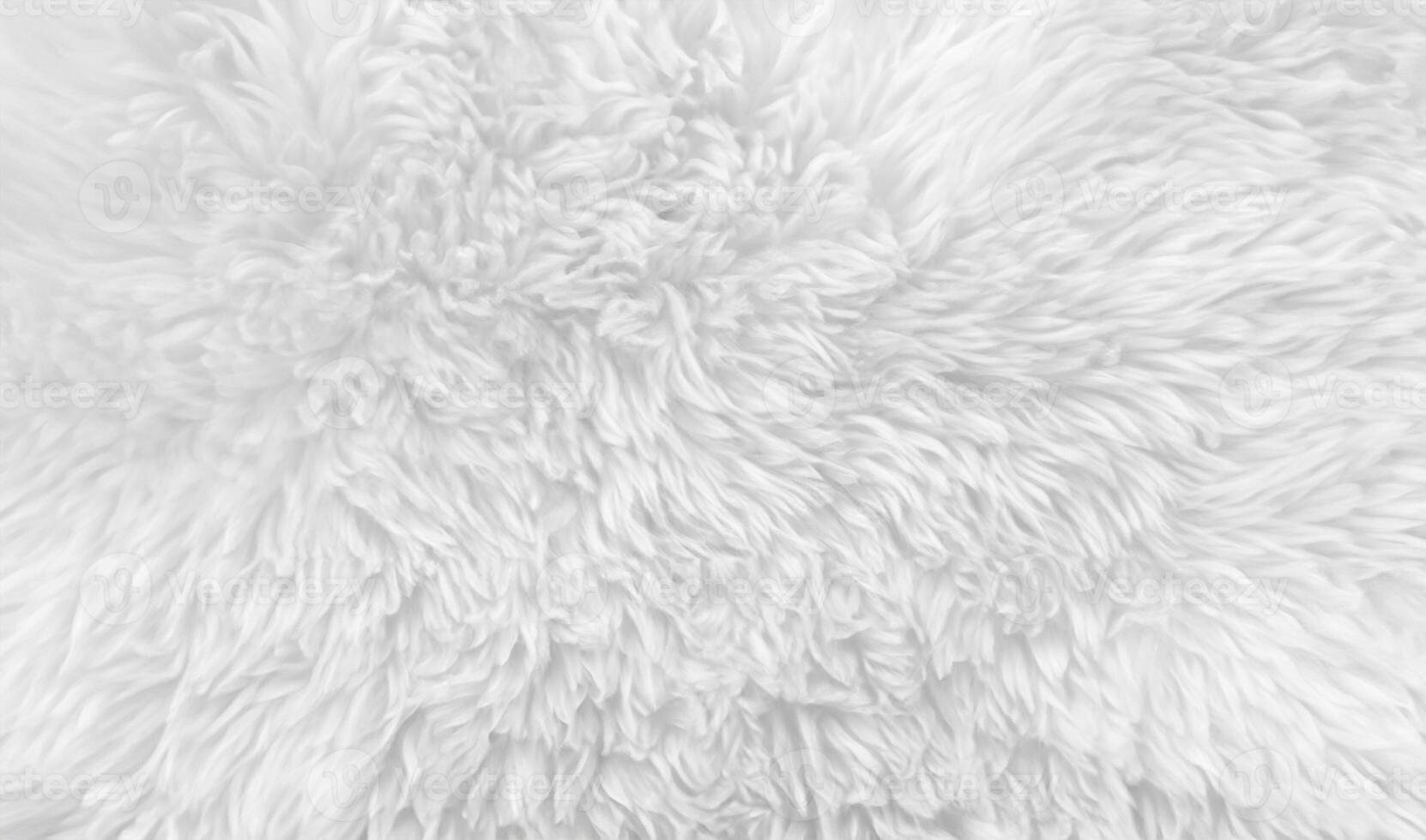 Close-up of White Wool Texture Background for Designers photo