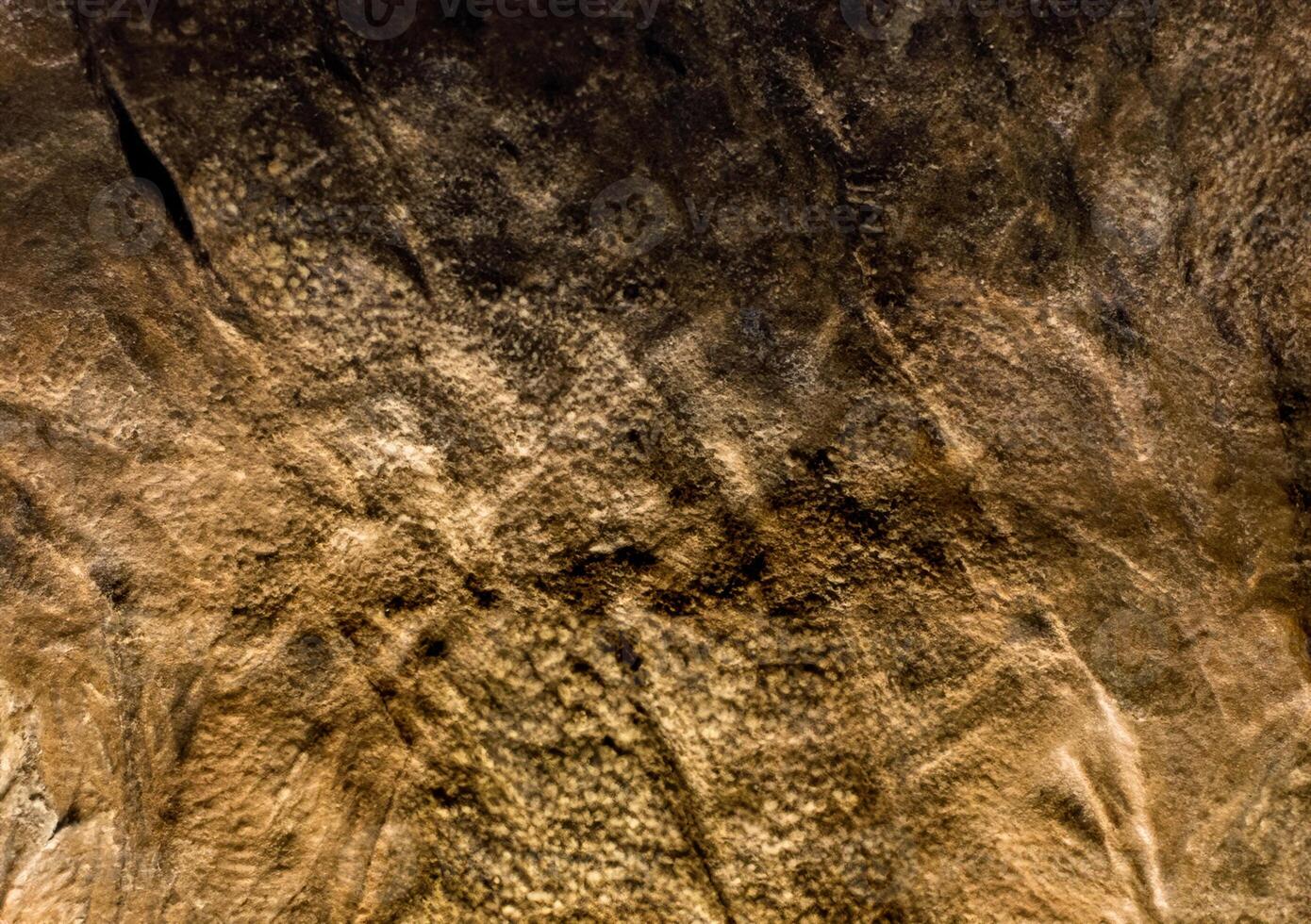Close-up of Dinosaur Skin Texture photo