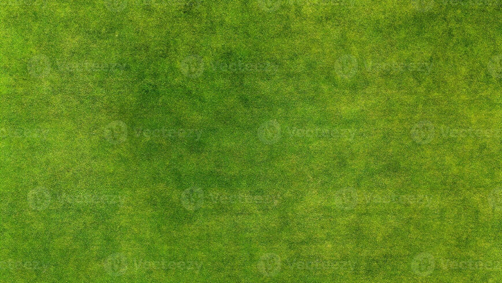 Crisp Aerial View of Lush Green Grass Texture Background photo