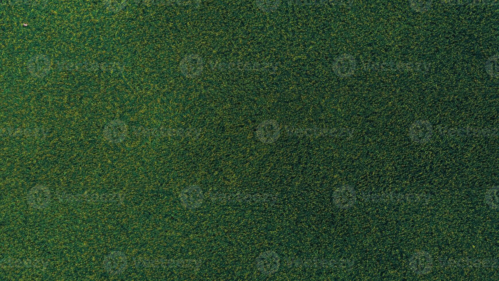 Luxurious Green Natural Carpet Texture, Ideal for Brochures, Invitations, Ads, and Web Templates photo