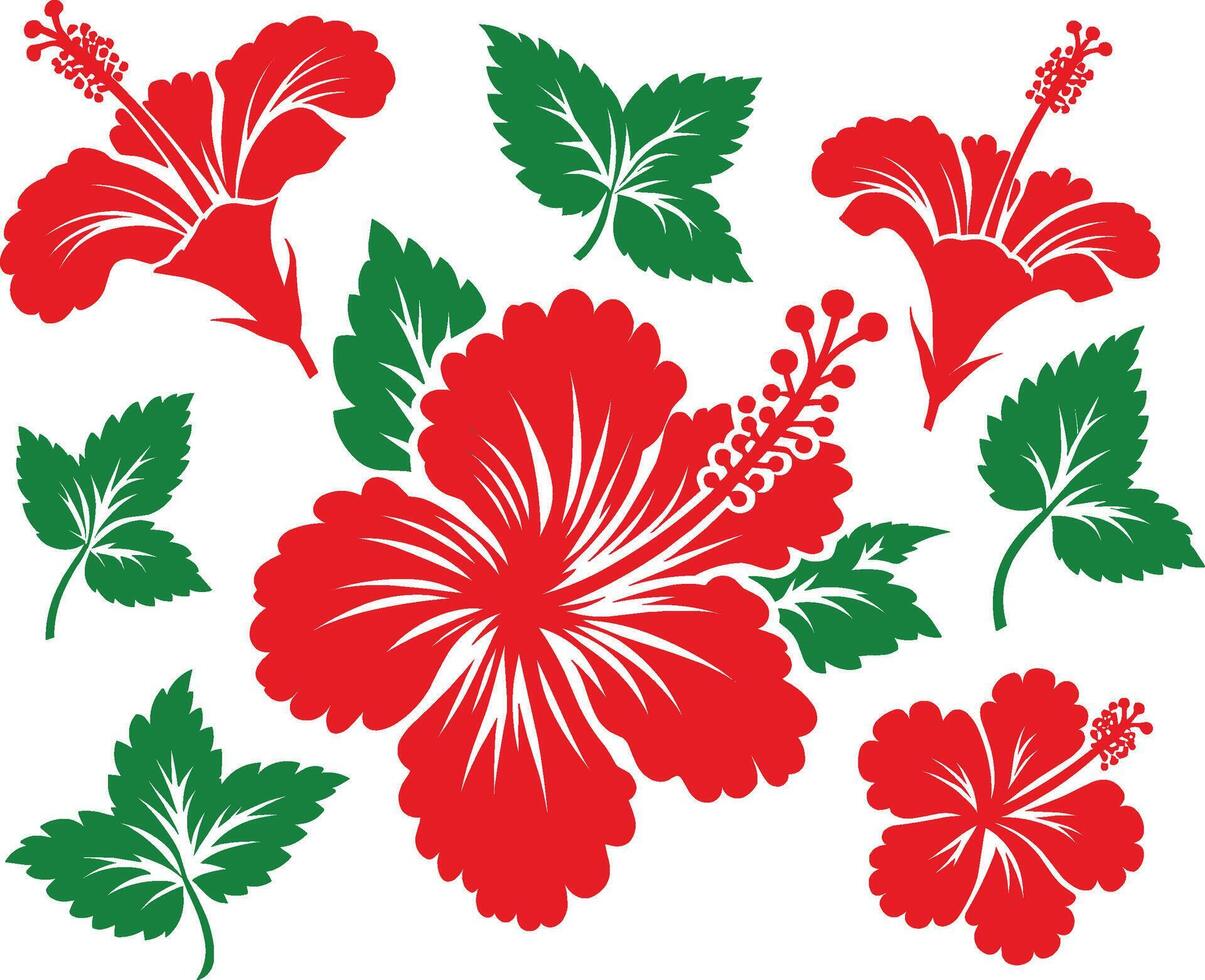 Set of Hibiscus flower with leafs silhouettes illustration vector