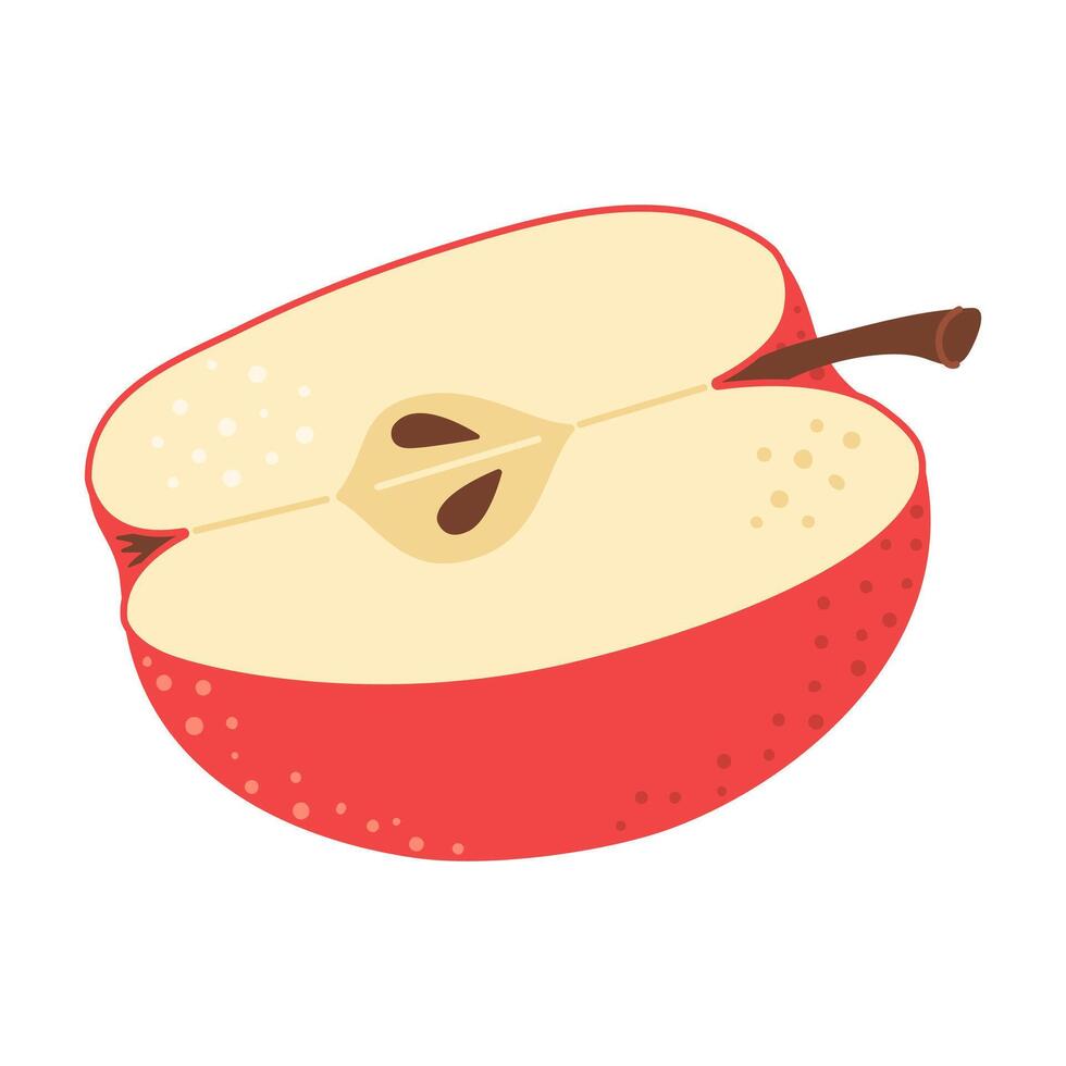 Cut Red apple cartoon icon. Cross section of cut apple, slices fruit, Hand drawn trendy flat style isolated on white. Healthy vegetarian snack, cut apple for design, infographic illustration vector