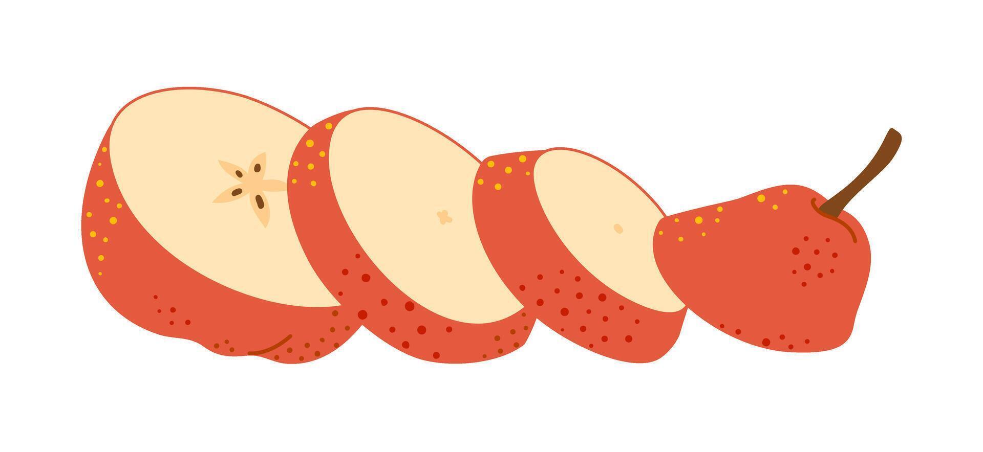 Fresh ripe chopped Pear. Slice of fresh red Pear. Healthy vegetarian snack, cut fruit for design or infographic. Hand drawn Trendy flat style isolated on transparent background illustration vector