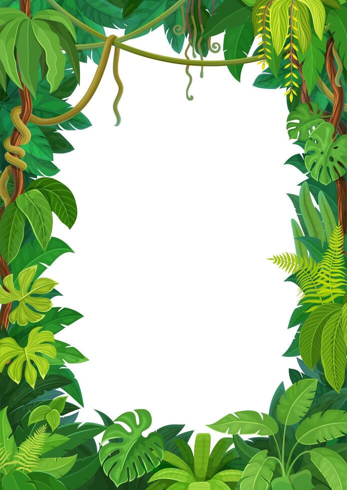 African forest liana frame with jungle leaves vector