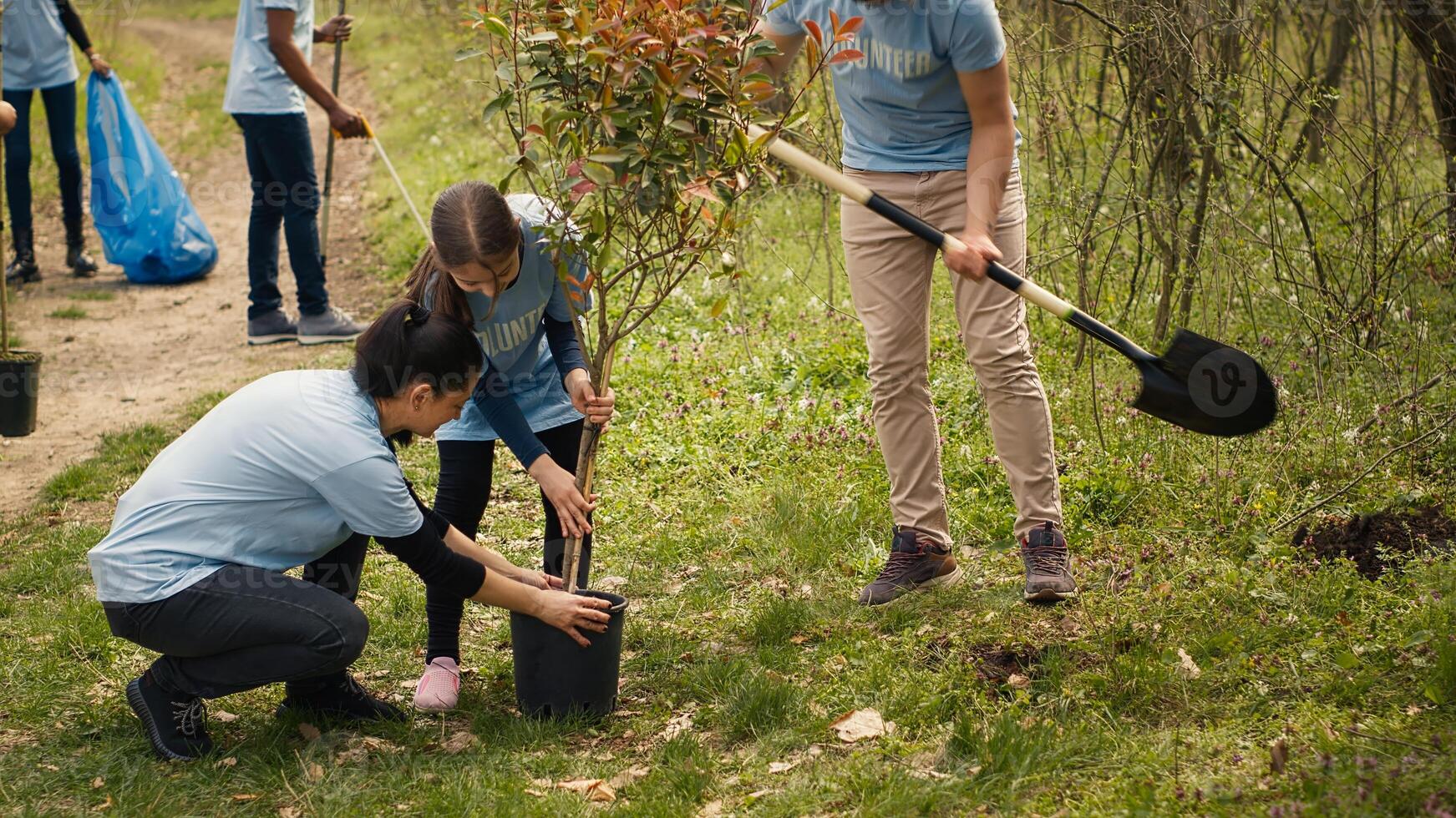 Team of volunteers planting trees around forest area for nature preservation and protection, doing voluntary work for a conservation project. Climate change activists plant seedlings. Camera A. photo