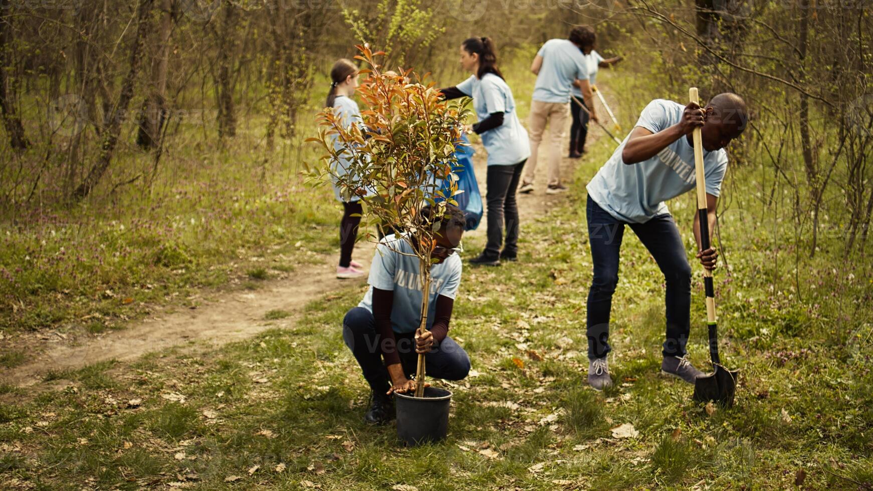 African american ecologic activists planting seedlings in a forest environment, working together in unity to preserve and protect the natural habitat. Growing trees project. Camera B. photo