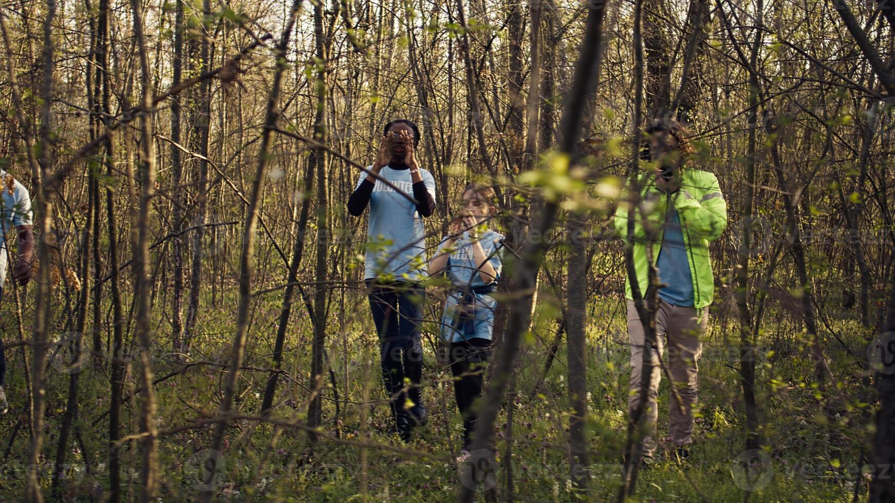 Group of lifesavers volunteers searching for a missing person, calling their name in the woods and going through the trees to track steps. Search squad rescuers looking for a lost victim. Camera B. photo