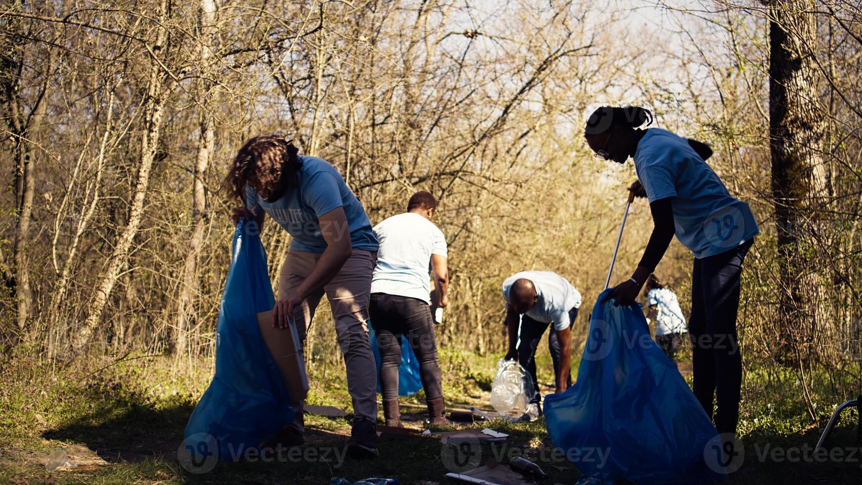 Team of volunteers collecting rubbish to fix pollution problem within the habitat, protect the natural environment. Activists doing voluntary work to clean the woods from trash. Camera B. photo