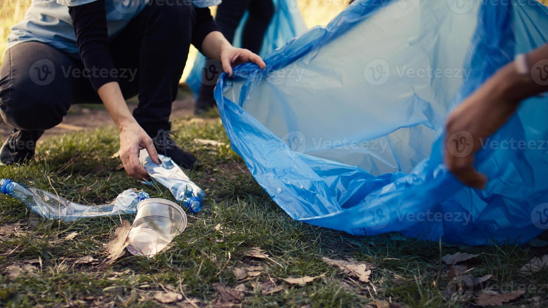Team of activists collecting rubbish and plastic waste to recycle, cleaning the woods with litter cleanup tools and garbage bags. People picking trash from the forest, activism. Close up. Camera B. photo