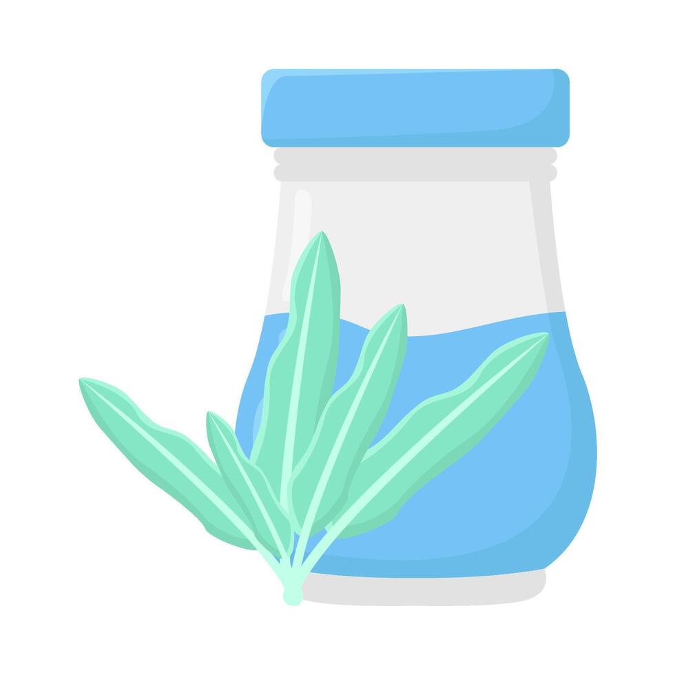 Illustration of herb vector